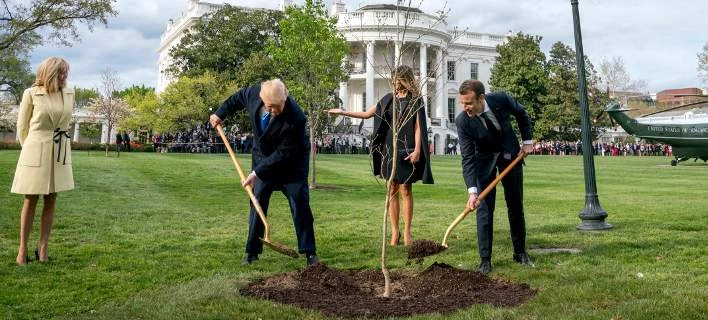 Το δέντρο που φύτεψαν Μακρόν – Τραμπ «εξαφανίστηκε» από τον Λευκό Οίκο [Εικόνες]